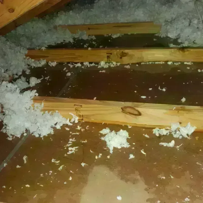 Attic Water Damage in Fox Point, WI