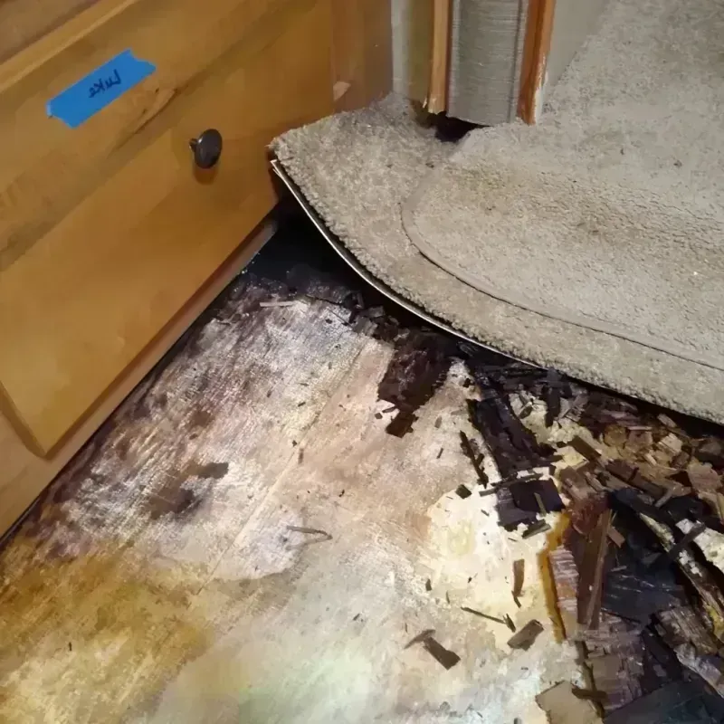 Wood Floor Water Damage in Fox Point, WI